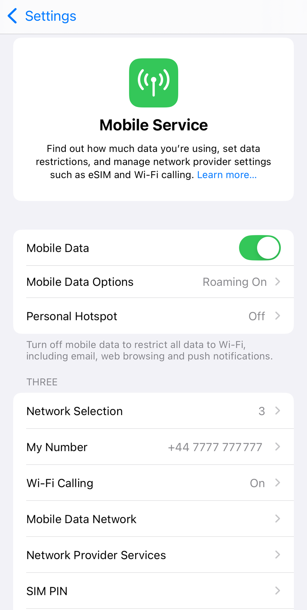 Mobile Data Network.png